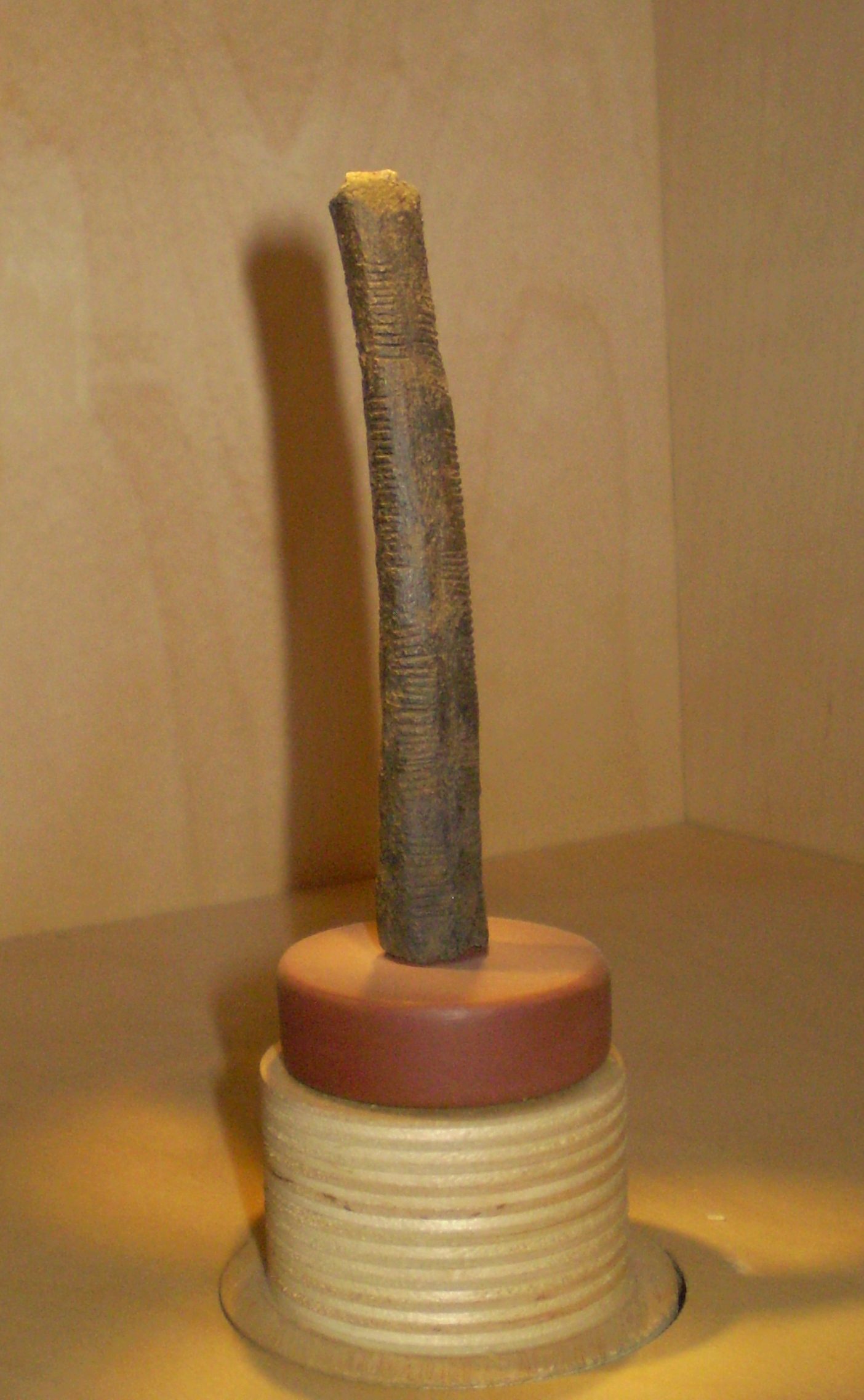 Prehistory: The birth of diplomacy and early 'technologies' 9 Prehistory